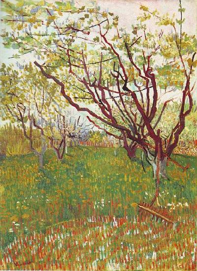 Vincent Van Gogh Cherry Tree oil painting image
